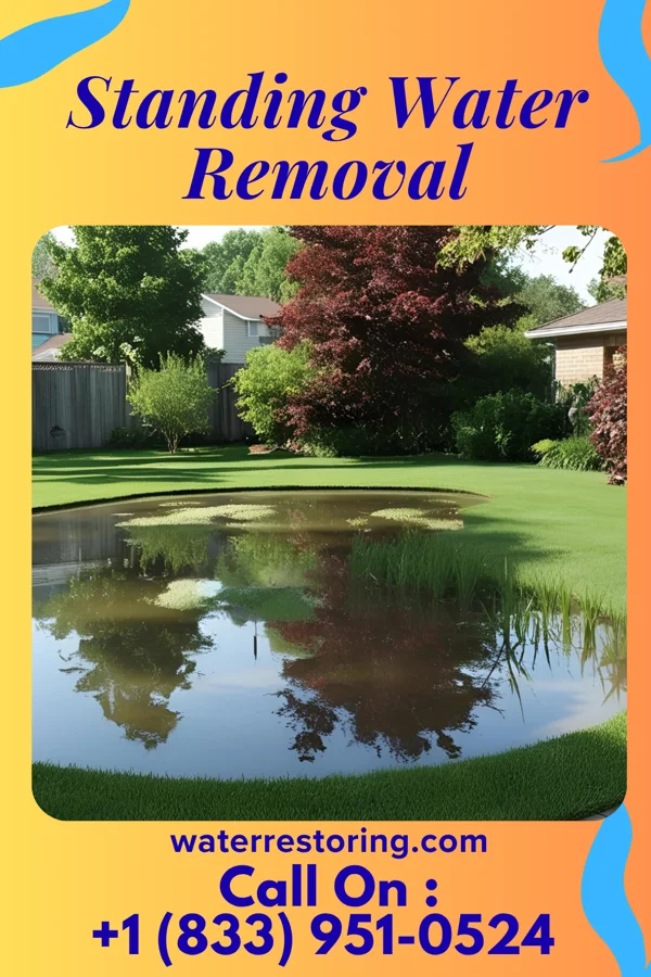 Standing Water Removal in Iron Post, OK